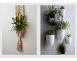 PERFECT WALL PLANTERS FOR INDOOR AND OUTDOOR BLISS