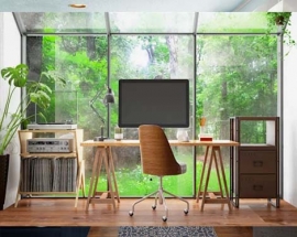 Interior Landscaping Ideas for Work from Home Offices From Professionals