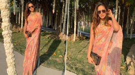 Guess the price of Mira Kapoor`s gorgeous chiffon sari