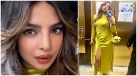 Priyanka Chopra in a Lapointe dress is the glam excellence that has our vote; Yay or Nay?