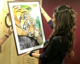 International Day of Forests, Wildlife Conservation Trust (WCT)