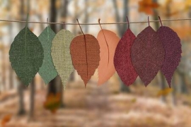 Organic fabrics boosting the Indian fashion scene