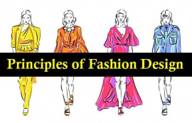PRINCIPLE OF FASHION