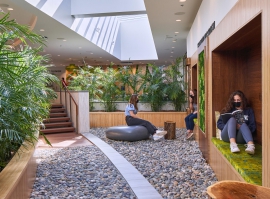 Designing for Wellness 